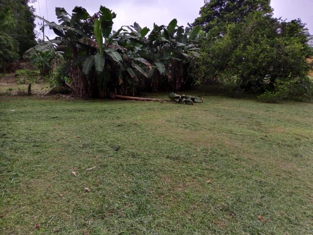 Myra Chalets Bijagua Esterno foto