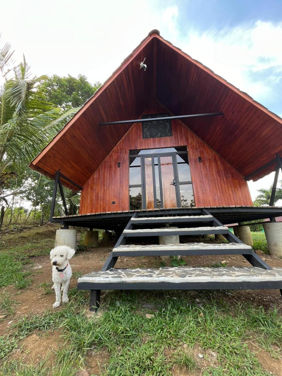 Myra Chalets Bijagua Esterno foto