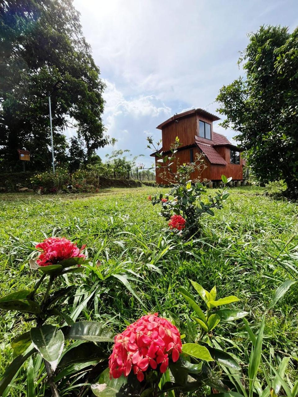 Myra Chalets Bijagua Esterno foto